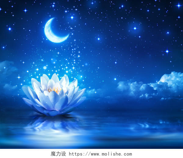 睡莲和月亮在繁星闪烁的夜晚创意合成魔术背景